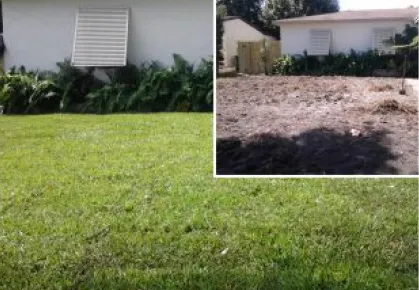 Re-sodding Lawn