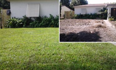 Re-sod Lawn